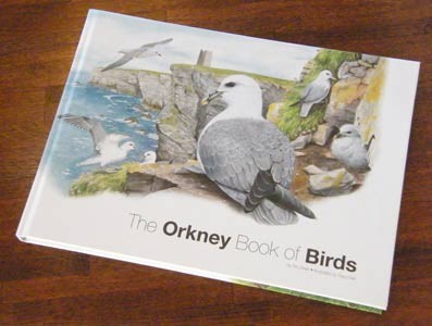 the orkney book of birds, illustrated by tracy hall, book and prints for sale