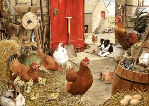 farm yard hens painting by watercolour artist tracy hall