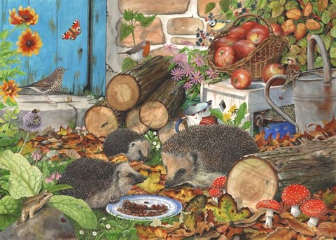 hedgehog painting by watercolour artist tracy hall