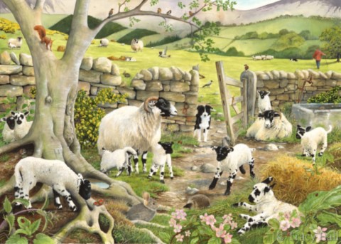 black faced sheep painting