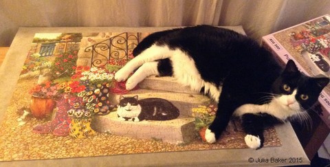 Lucy the cat helping with a puzzle