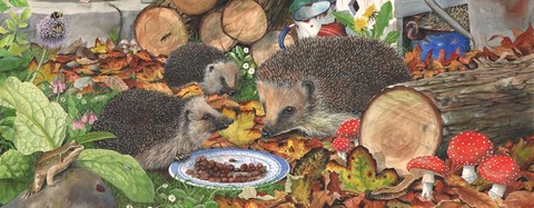illustrations, commissions, prints and cards animals, flowers, birds by tracy hall