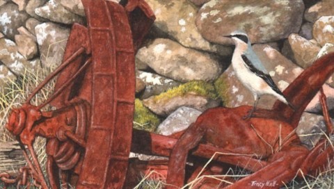 miniature painting wheatear