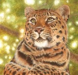 amur leopard miniature painting by Tracy Hall