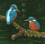 kingfisher miniature painting by tracy hall