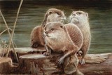 young otters miniature painting