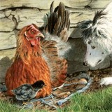hen and collie miniature painting