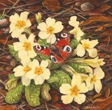 primrose miniature painting