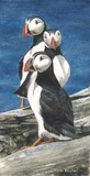 puffin miniature painting