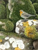 miniature painting of robin