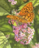 miniature painting butterfly