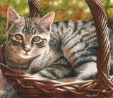 cat kitten miniature painting