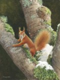 miniature painting squirrel