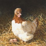 miniature painting hen